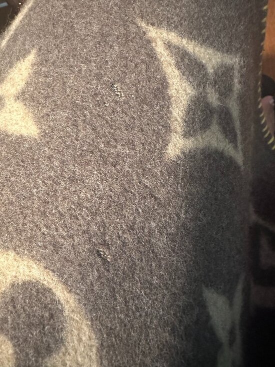 Louis Vuitton Neo Monogram Blanket | The King Decor 🔥Louis Vuitton Neo Monogram Blanket Reversible🔥